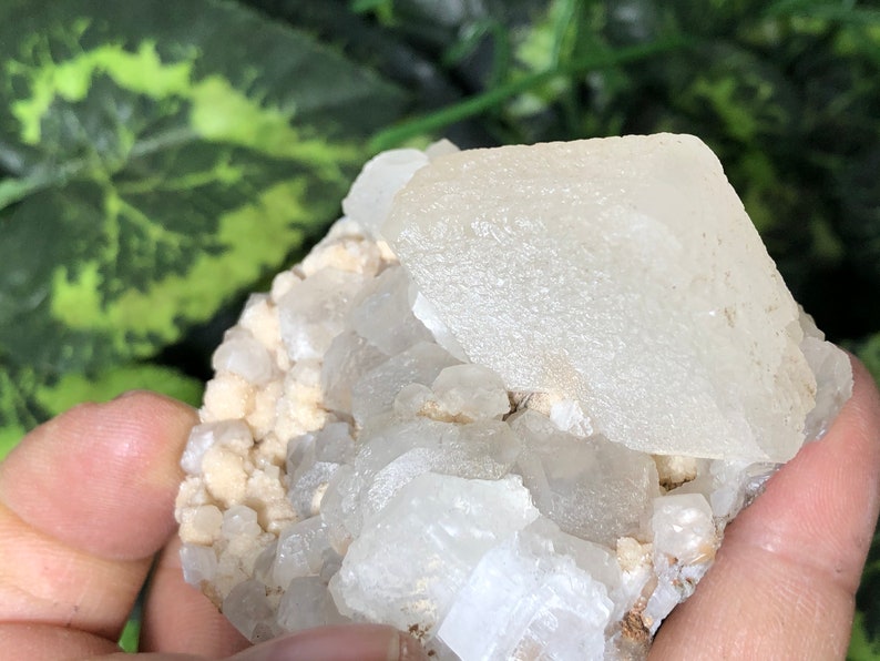 Amazing Calcite two generations Krushev Dol mine Madan Bulgaria