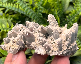 May include: A cluster of gray quartz crystals with a white, powdery coating. The crystals are clustered together on a rough, gray rock.