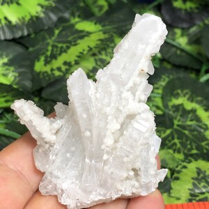 Quartz Calcite Krushev Dol mine Madan, Bulgaria crystal minerals specimen
