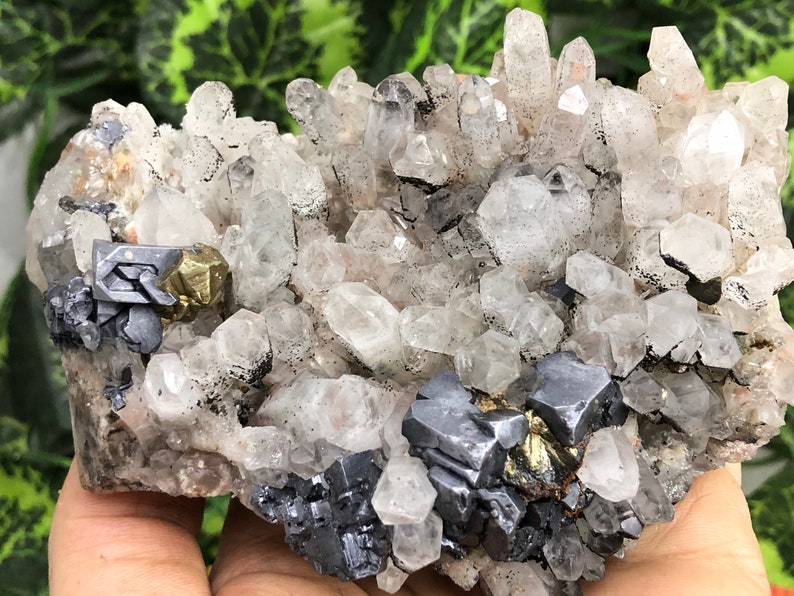 Amazing Quartz-Chalcopyrite Galena Deveti Septemvri mine-Madan Bulgaria