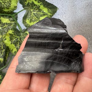 May include: A piece of black obsidian stone with horizontal white and gray banding. The stone has a rough, uneven edge and is held in a hand. Green and yellow leaves are in the background.