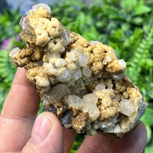 Puede incluir: Un cúmulo de cristales transparentes y vítreos incrustados en una matriz rugosa, marrón y beige. Los cristales están agrupados en una variedad de tamaños y formas.