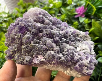 Wonderful Quartz Amethyst Chalcopyrite Borieva mine Madan Bulgaria natural crystal minerals specimen