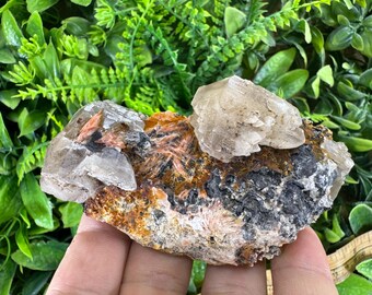 May include: A natural mineral specimen featuring a cluster of clear, crystalline formations atop a matrix of orange, black, and brown minerals. The specimen is held against a backdrop of green foliage.