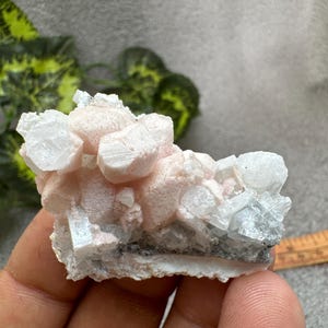 Barite Manganocalcite Bulgaria campioni di minerali di cristallo naturali raggruppano souvenir