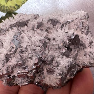Galena Quartz Madan Bulgaria natural crystal crystal minerals specimen clusters souvenirs WholesaleMineralsBox