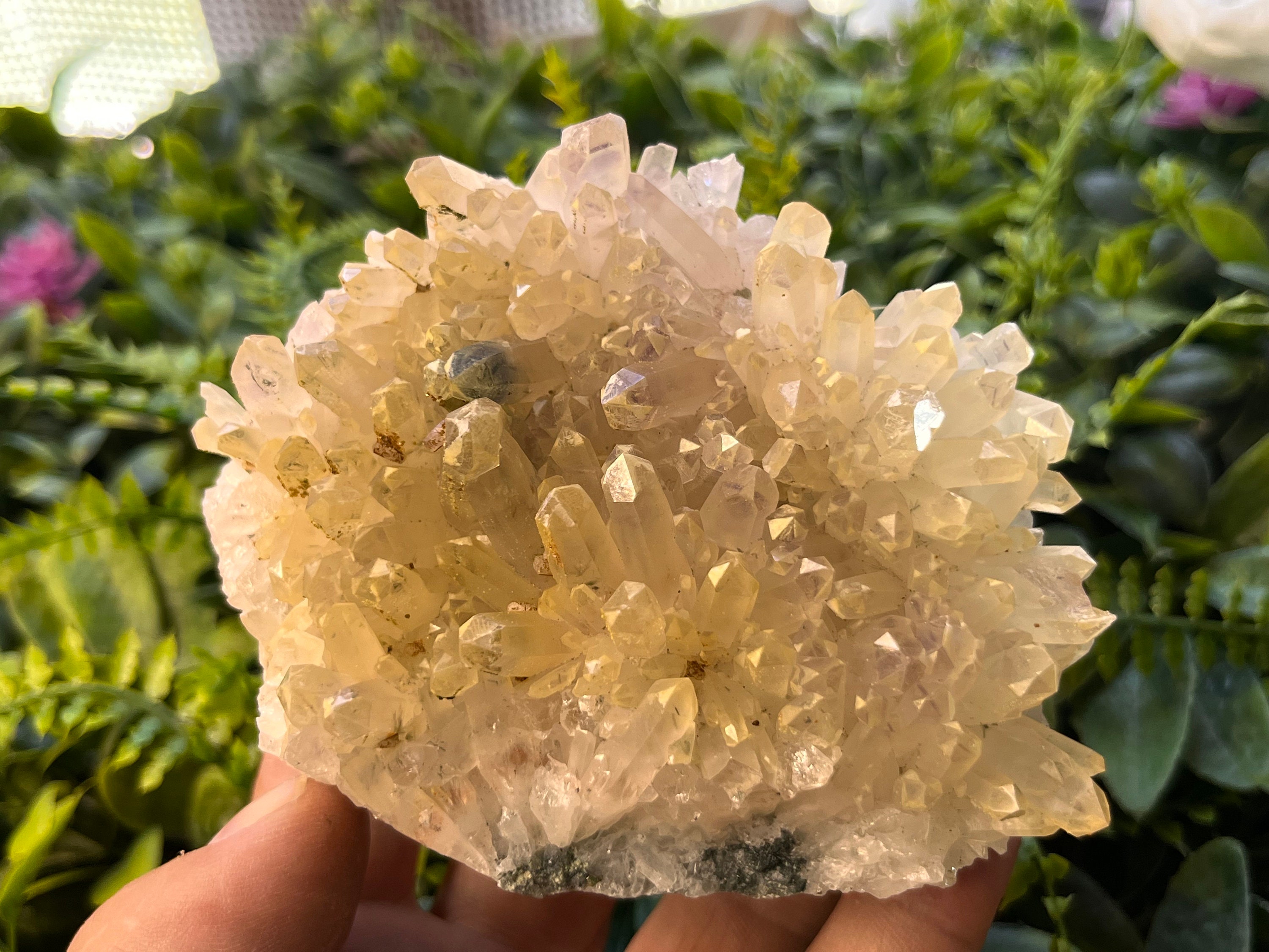 アメジスト緑泥石鉱物標本、ブルガリア、スパヒエヴォ鉱山 - Etsy 日本