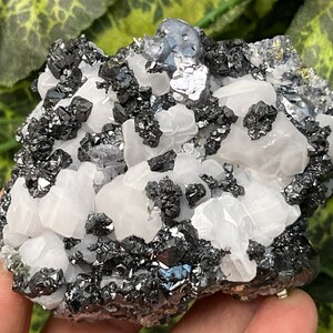 May include: A cluster of white calcite crystals with black and silver galena crystals. The crystals are arranged in a random pattern and have a natural, rough texture.