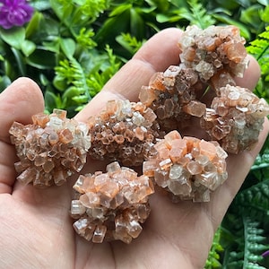 Aragonite Morocco natural crystal minerals specimen clusters souvenirs WholesaleMineralsBox