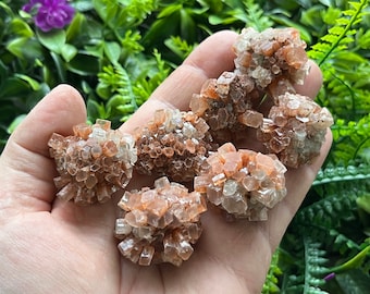 May include: A collection of six brown and clear selenite crystal clusters, also known as desert rose crystals, in a hand.