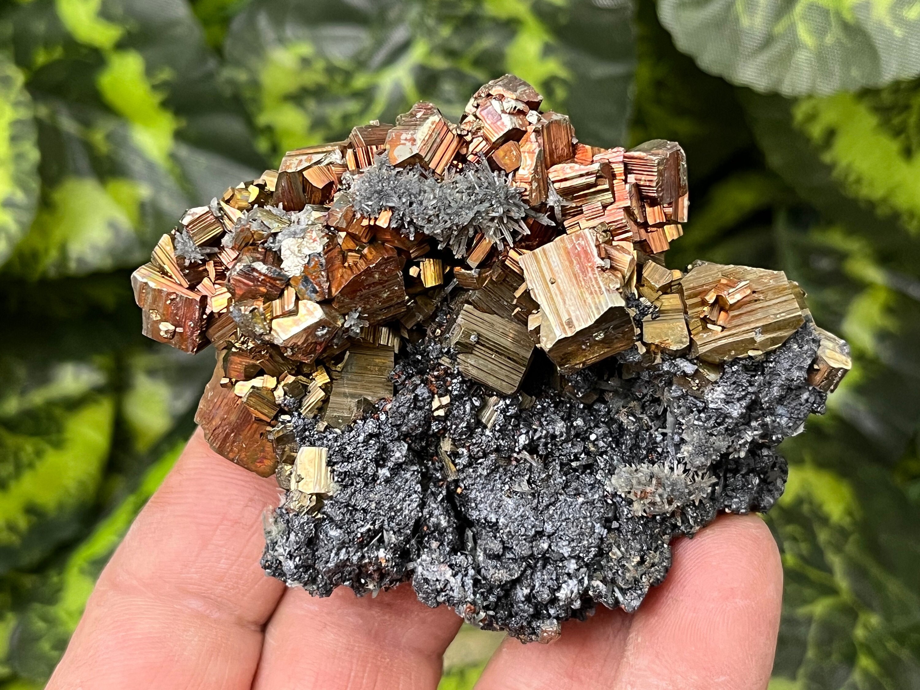 Pyrite Quartz-Calcite - Sphalerite Borieva Mine-Madan Bulgaria Natural Crystal Minerals Specimen