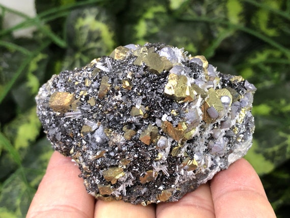黄銅鉱 閃亜鉛鉱 方鉛鉱 石英 マダン ブルガリア 天然水晶 鉱物 標本 