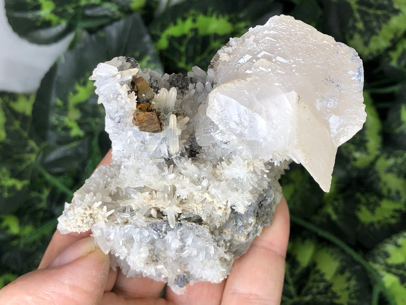 Amazing Quartz Pyrite Calcite Borieva mine Madan Bulgaria natural crystal minerals specimen