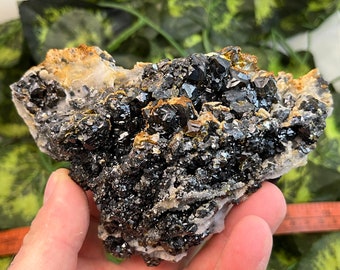 Quartz Calcite Sphalerite Cluster, Djurkovo Mine Mineral Specimen