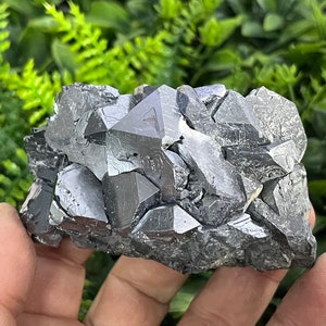 Wonderful Galena  Krushev Dol mine Madan Bulgaria