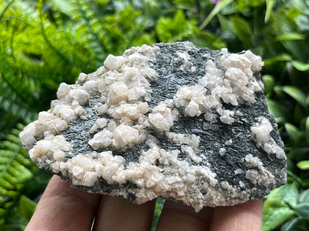 Albite Hand Sample Albite Amphibole Sample: Kariera Kanarata Quarry, Hlyabovo Vill ...