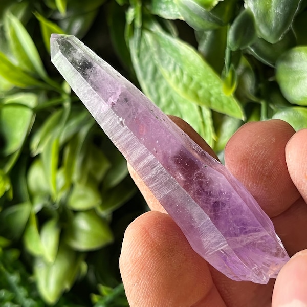 Amethyst Lacky Bulgaria natural crystal crystal minerals specimen clusters souvenirs WholesaleMineralsBox