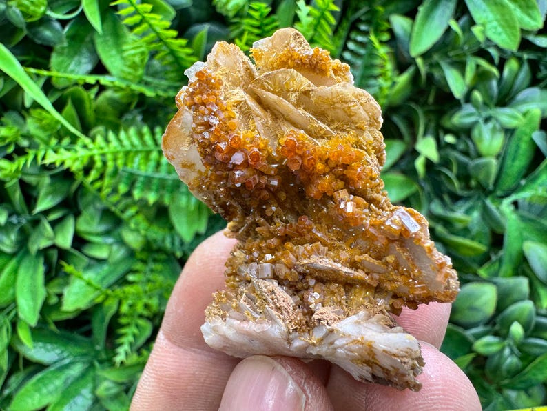 Vanadinite / Barite - Morocco natural crystal minerals specimen clusters image 1