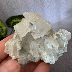 Puede incluir: Un cúmulo de cristales blancos y verde claro con una textura rugosa y natural. Los cristales están dispuestos en un patrón aleatorio y orgánico, creando una exhibición única e interesante.