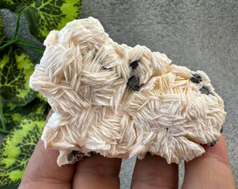 May include: A light beige mineral specimen with a layered, crystalline structure. The stone has a rough, textured surface with small, dark gray inclusions. The overall shape is irregular, and the mineral appears to be a natural formation.