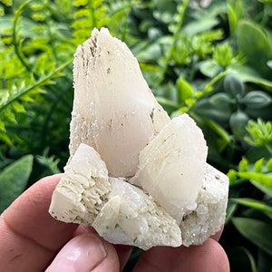 Puede incluir: Un grupo de cristales de calcita blanquecina. Los cristales tienen una superficie rugosa y texturizada y están dispuestos en una formación en capas. El fondo es follaje verde borroso.