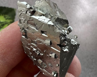 クォーツ（日本法双晶）黄鉄鉱緑泥石ラッキーブルガリア天然水晶鉱物