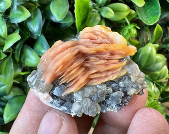 Baryt Cerussit (Cerussit) Gruppe, Marokko Kristall Mineral Specimen, Wohnkultur