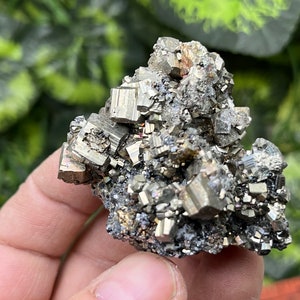 PyriWonderful e Galena Sphalerite Quartz  Krushev Dol mine Madan Bulgaria