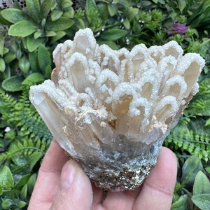 Incroyable mine de quartz calcite pyrite Deveti Septemvri Madan, spécimen de minéraux de cristaux naturels de Bulgarie