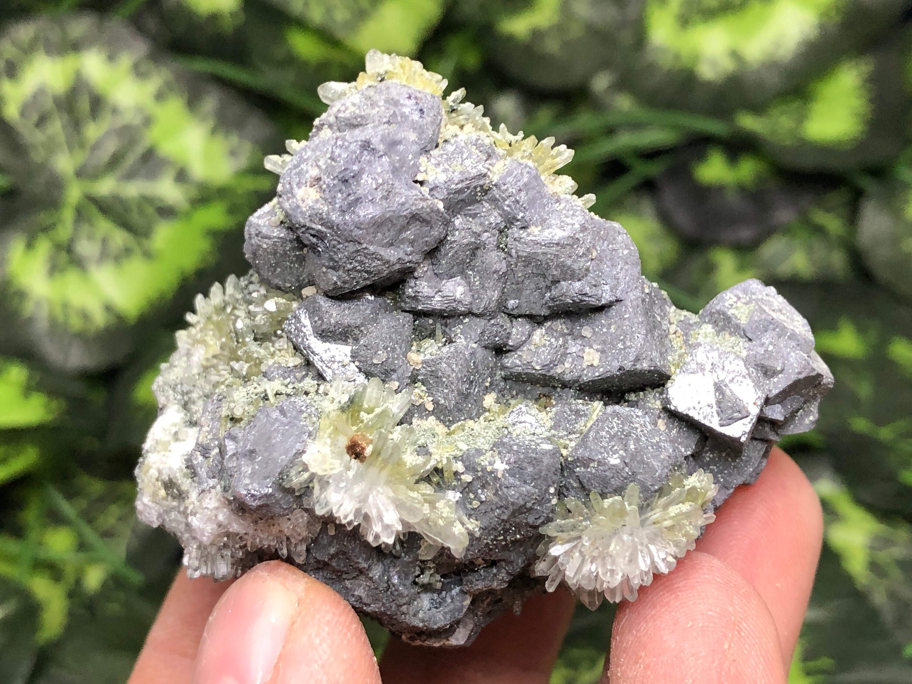 Amazing Galena Quartz Chlorite Borieva mine Madan, Bulgaria Cluster Specimen