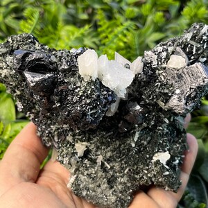 May include: A cluster of black and silver crystals with white quartz crystals on a dark green matrix.
