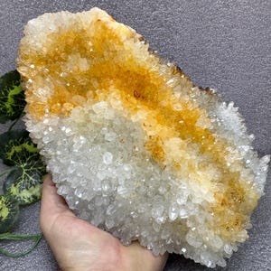 Quartz limonite Madan Bulgaria natural crystal crystal minerals specimen clusters souvenirs WholesaleMineralsBox
