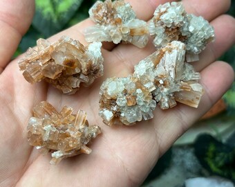 6 pieces Aragonite Morocco natural crystal minerals specimen clusters souvenirs