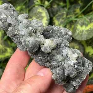 Prehnit Aktinolith, Boulemane, Marokko natürliche Kristallmineralien Mustercluster Souvenirs WholesaleMineralsBox