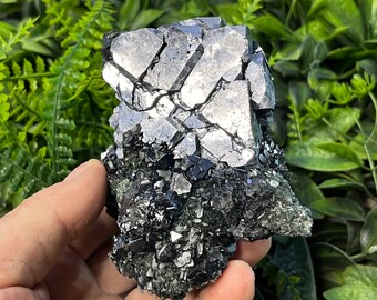 Galena Sphalerite Cluster, Chlorite Mineral Specimen