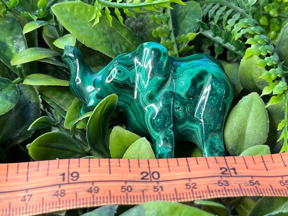 動物 クラスター 象 混沌としたクラスター分析するために収集したビッグデータ象シンボル