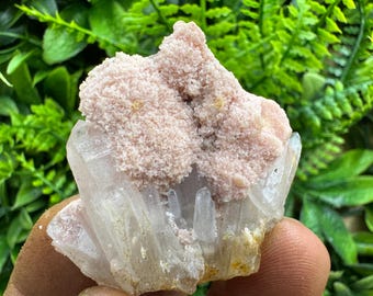 Rhodochrosite Quartz Cluster, Davidkovo Bulgaria Mineral Specimen