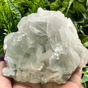 Puede incluir: Un cúmulo de cristales de selenita blancos con un ligero tono verde. Los cristales están dispuestos en un patrón aleatorio y orgánico, creando una exhibición única y hermosa.