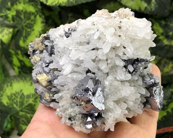 Quartz Galena Chalcopyrite  Madan Bulgaria natural crystal minerals specimen clusters souvenirs