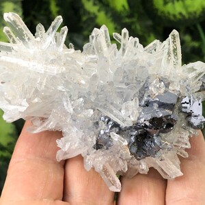 Galena Quartz Krushev Dol mine Madan Bulgaria crystal minerals specimen