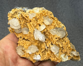 May include: A natural mineral specimen featuring a textured, tan matrix with numerous translucent, petal-like crystal formations. The crystals are clustered across the surface, creating a visually interesting display. The overall color palette is earthy, with variations in the tan and off-white crystals.