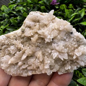 Puede incluir: Un grupo de cristales de cuarzo blanquecino con una superficie brillante y texturizada. Los cristales están dispuestos en una formación densa y en capas, con pequeñas inclusiones oscuras dispersas. El fondo es un follaje verde borroso.