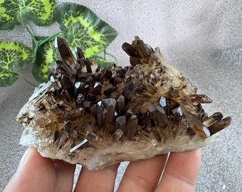 Cuarzo Limonita Madan Bulgaria, minerales cristalinos naturales, racimos de especímenes, recuerdos, WholesaleMineralsBox