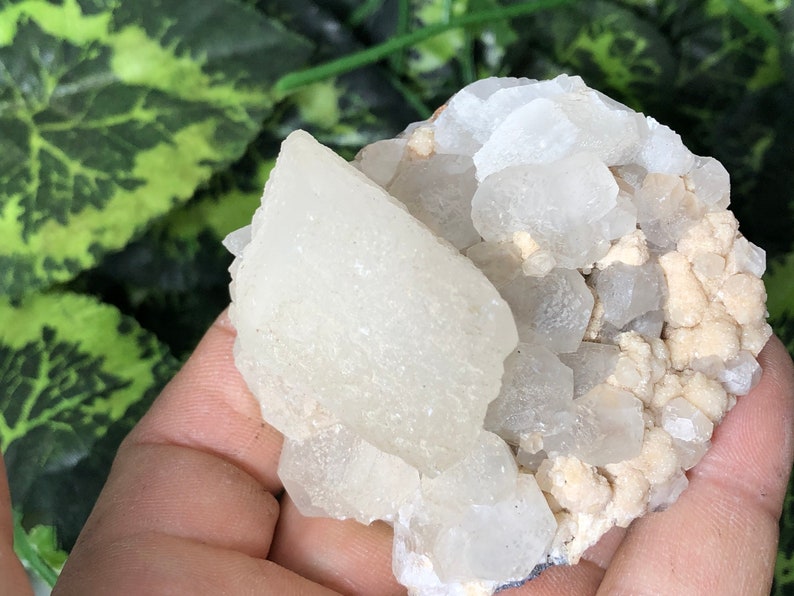 Amazing Calcite two generations Krushev Dol mine Madan Bulgaria