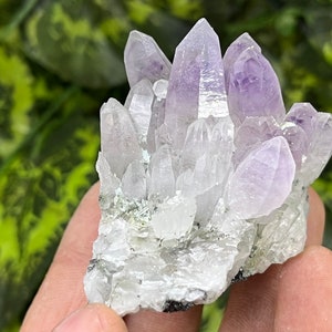 Pode incluir: Um aglomerado de cristais de ametista com uma tonalidade púrpura e cristais de quartzo transparentes. Os cristais estão dispostos em um aglomerado e têm uma textura natural e áspera.