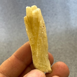 Puede incluir: Un grupo de cristales translúcidos de color amarillo pálido con una textura estriada. Los cristales están agrupados en una forma puntiaguda, que se asemeja a una pequeña flor delicada.