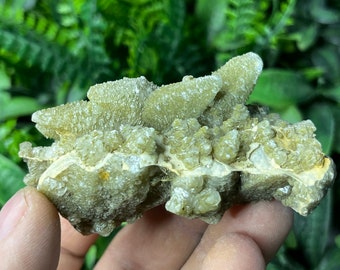 May include: A cluster of light green and white crystals with a rough, textured surface. The crystals are arranged in a random, organic pattern, creating a unique and interesting display.