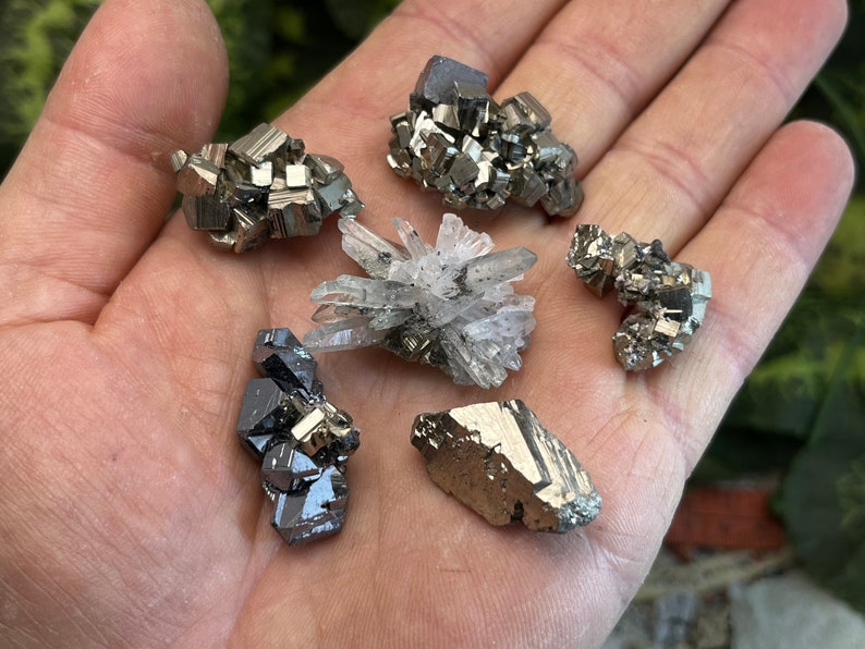 May include: A collection of six small, raw crystals. The crystals are a mix of clear quartz, pyrite, and marcasite. The crystals are arranged on a hand.