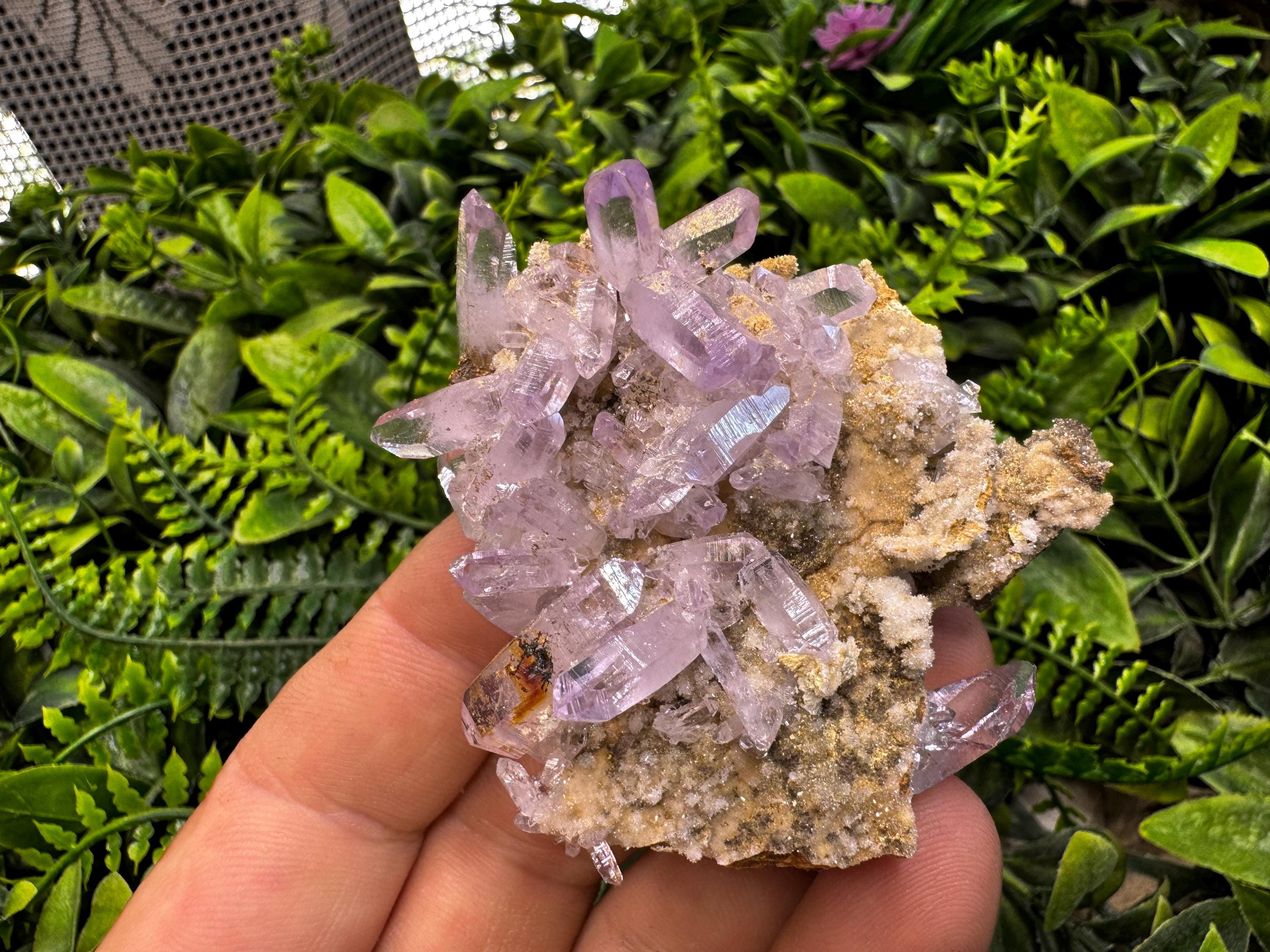 天然アメジスト - メキシコ、ベラクルス産 水晶標本 - Etsy 日本