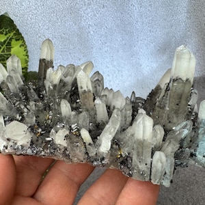 Puede incluir: Un grupo de cristales de cuarzo con tonos claros, grises y negros. Los cristales son puntiagudos y agrupados, con algunas áreas translúcidas. La base tiene un aspecto oscuro y moteado. La forma general es irregular y natural.